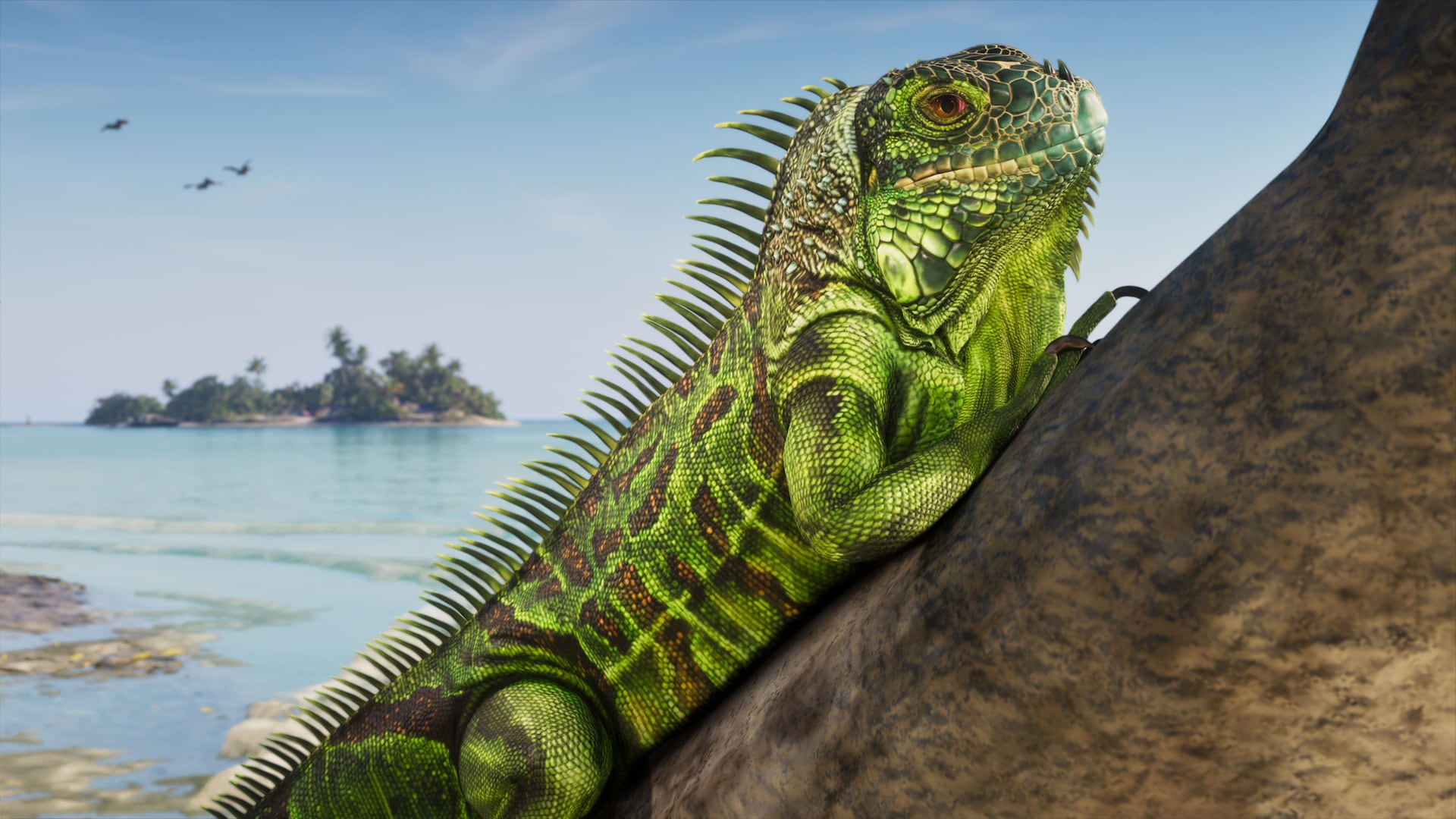 Un iguane sur les Leonida Keys, capture officielle Rockstar Games