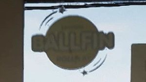 Ballfin dans GTA 6