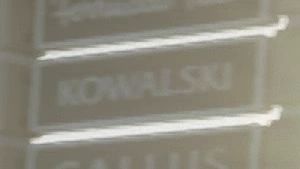 Kowalski dans GTA 6