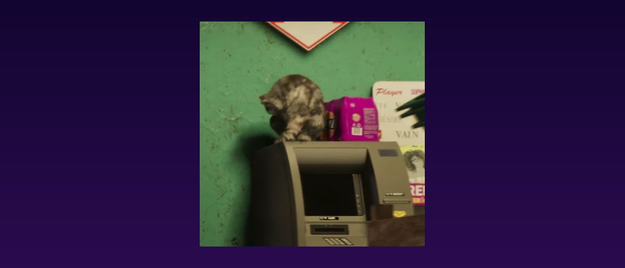 Chats dans GTA 6