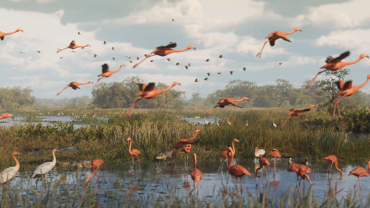 Flamants roses dans GTA 6