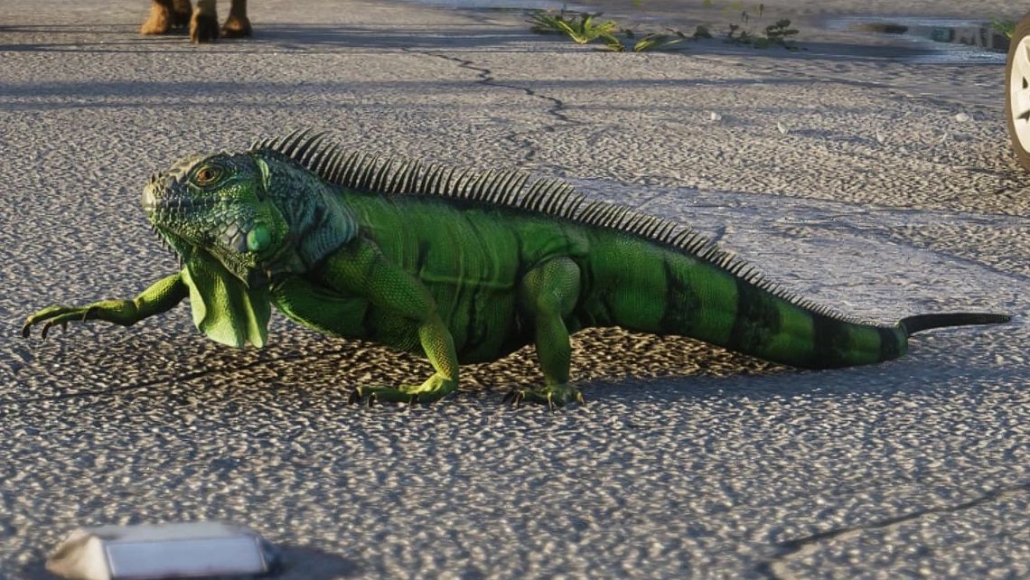 Iguanes dans GTA 6