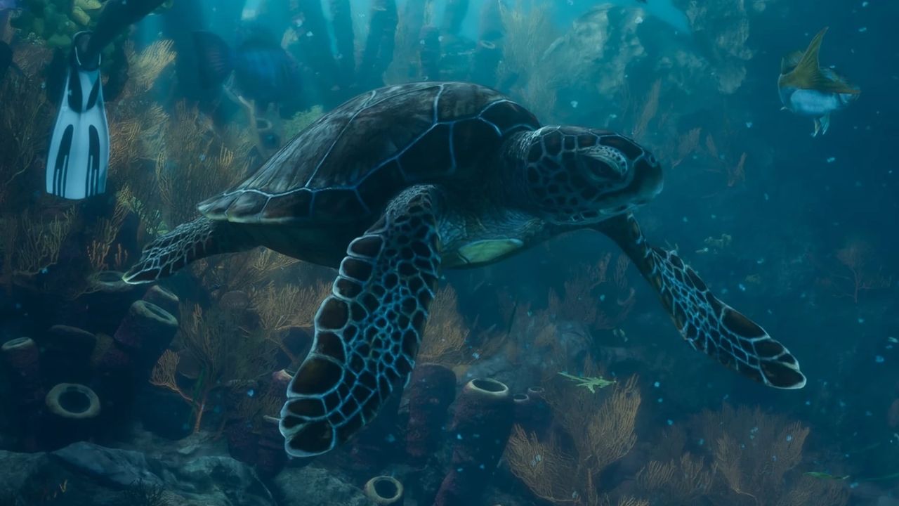 Tortues de mer dans GTA 6