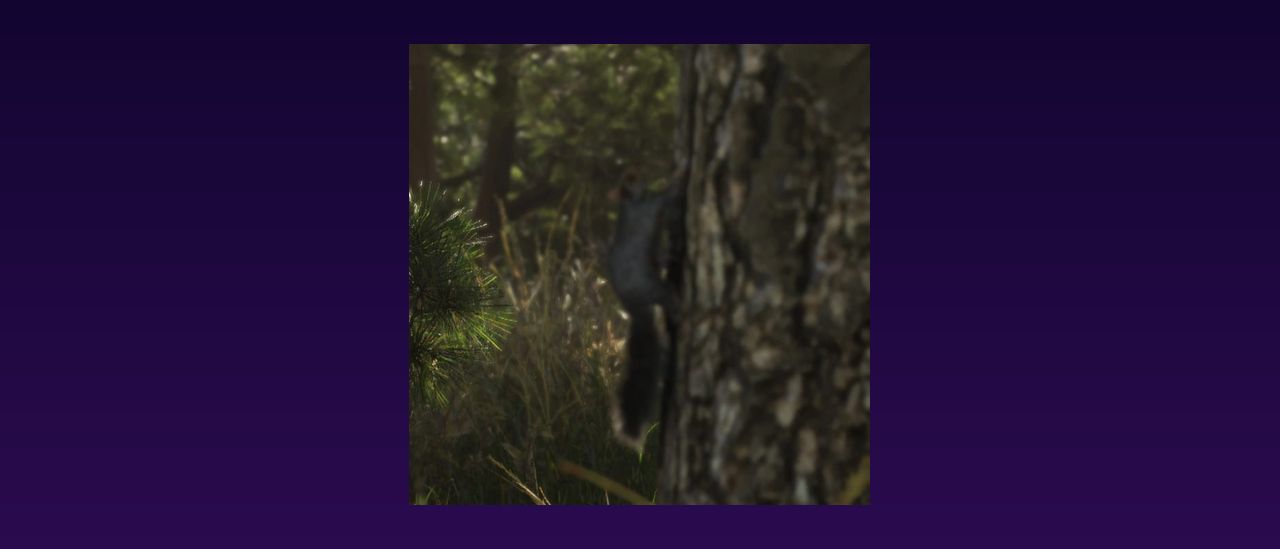 Écureuils dans GTA 6